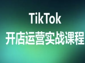TikTok开店运营实战课程，TK跨境电商实操全流程-辉硕副业