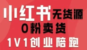 小红书无货源0粉电商课,开店准备、选品策略、笔记撰写、视频剪辑、数据分析、账号打造、资料文档-辉硕副业
