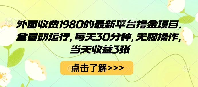 外面收费1980的最新平台撸金项目，全自动运行，每天30分钟，无脑操作，当天收益3张【揭秘】-辉硕副业