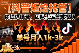 【抖音炬焰托管】你提供账号,团队代运营发视频,单号月入1k+【揭秘】-辉硕副业