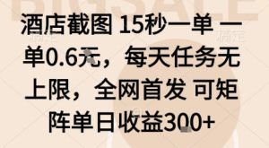 酒店截图15秒一单,一单0.6米,每天任务无上限,全网首发可矩阵单日收益3张【揭秘】-辉硕副业