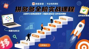 拼多多全阶实战课程，从新手小白到运营高手，海量实战玩法+全年实时更新【2025年9月更新】-辉硕副业