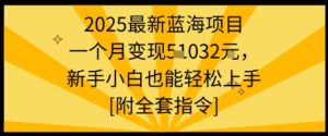 2025最新蓝海项目一个月变现1w+新手小白也能轻松上手【附全套指令】-辉硕副业