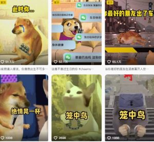 狗头幸运星UE5动画全套课程,从入门到实操全掌握-辉硕副业