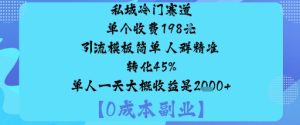 私域冷门赛道:单个收费198米引流模板简单人群精准转化45%单人一天大概收益是1k+-辉硕副业