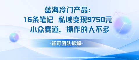 蓝海项目：16条笔记私域变现9750米小众赛道操作的人不多-辉硕副业