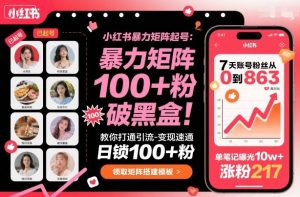 小红书暴力矩阵起号,教你打通引流-变现速通,日锁100+粉,破流量黑盒-辉硕副业