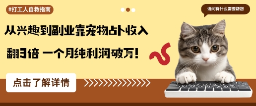 从兴趣到副业靠宠物占卜收入翻3倍一个月纯利润破W-辉硕副业