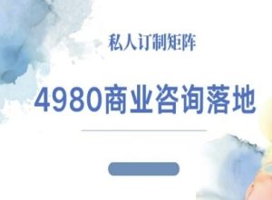 4980商业咨询师落地课程-ip运营高客单教程-辉硕副业