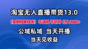 淘宝无人直播13.0,公域私域技术,不封号,不违规布局下半年旺季赛道,日入1K+(独家技术)【揭秘】-辉硕副业