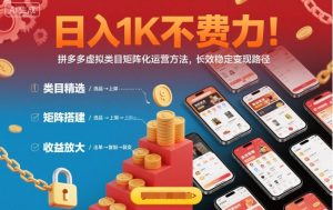 日入1K不费力!拼多多虚拟类目矩阵化运营方法,长效稳定变现路径-辉硕副业