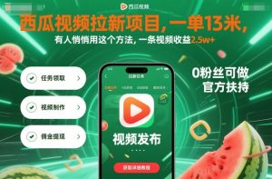 西瓜视频拉新项目,一单13米,有人悄悄用这个方法,一条视频收益2.5w+(附详细教程)-辉硕副业