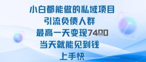 2025年小白都能做的私域项目引流负债人群最高一天变现1k+高变现难度低当天就能见到钱上手快-辉硕副业