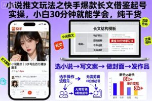 小说推文玩法之快手爆款长文借鉴起号实操，小白30分钟就能学会，纯干货-辉硕副业