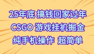 25年底搞钱回家过年,CSGO游戏挂G掘金,纯手机操作超简单【揭秘】-辉硕副业