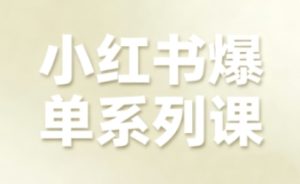 小红书爆单系列课,聚焦小红书电商全链路增长-辉硕副业