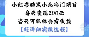 小红书暗黑小众冷门项目每天变现2张当天可能就会有收益-辉硕副业