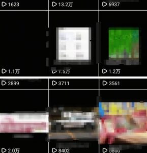 抖音引流创业粉教程,创业粉终于跑通了,私域是永远的王-辉硕副业