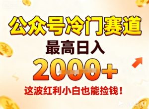 公众号冷门赛道，最高日入1k+，这波红利小白也能捡钱！-辉硕副业