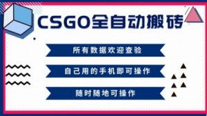 CSGO全自动搬砖，年底钱回家好项目，当天可拿到结果，新手小白轻松月入1W+【揭秘】-辉硕副业