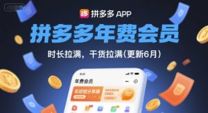 拼多多年费会员,实经验分享操,时长拉满,干货拉满(更新11月)-辉硕副业