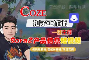 Coze扣子智能体工作流一键生成“SORA2产品信息“短视频,全流程保姆级教学-辉硕副业